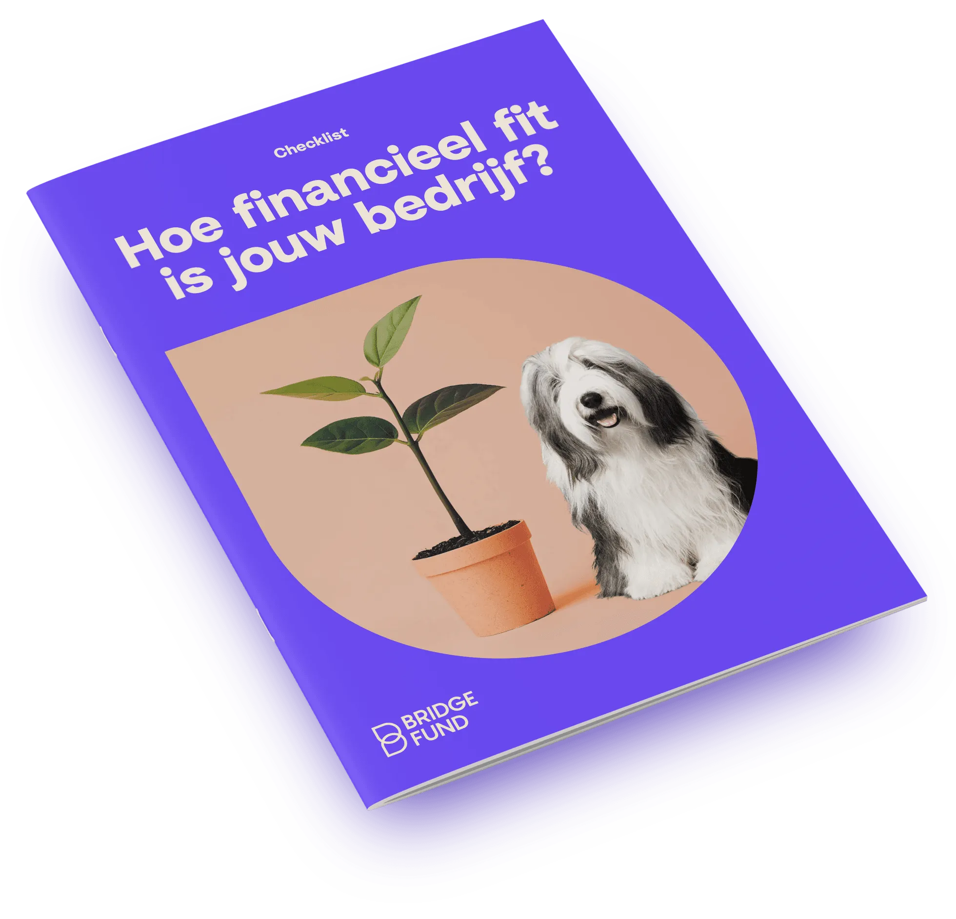hoe-financieel-fit-is-jouw-bedrijf
