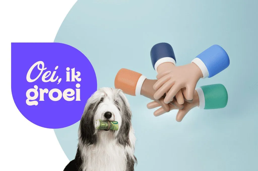 Zo verandert jouw rol als ondernemer wanneer je bedrijf groeit