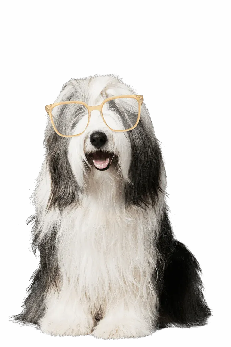 ted-leesbril-2