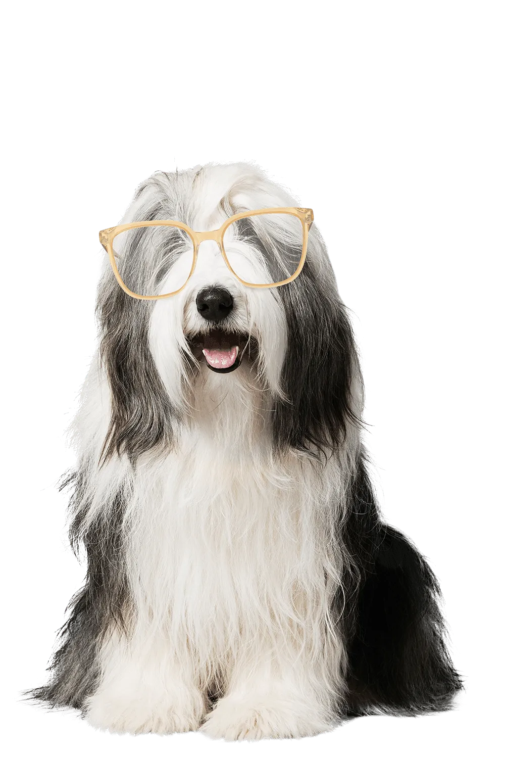 ted-leesbril-2