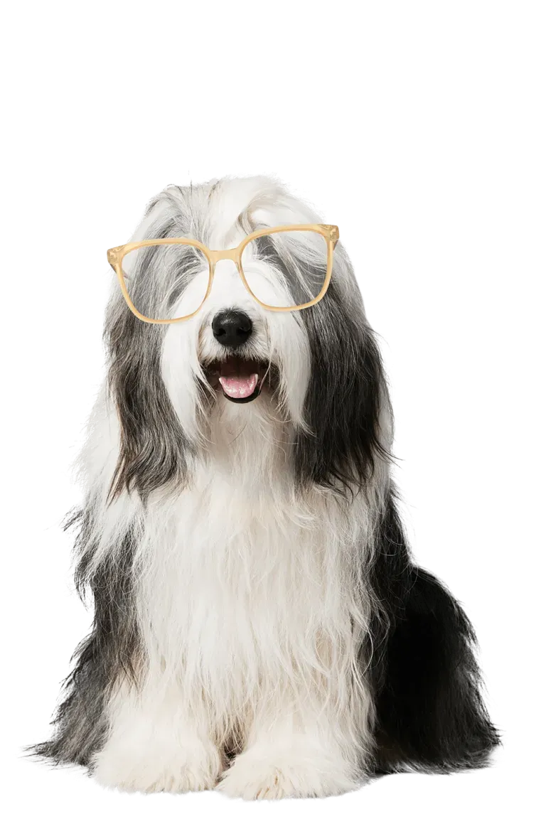 ted-leesbril