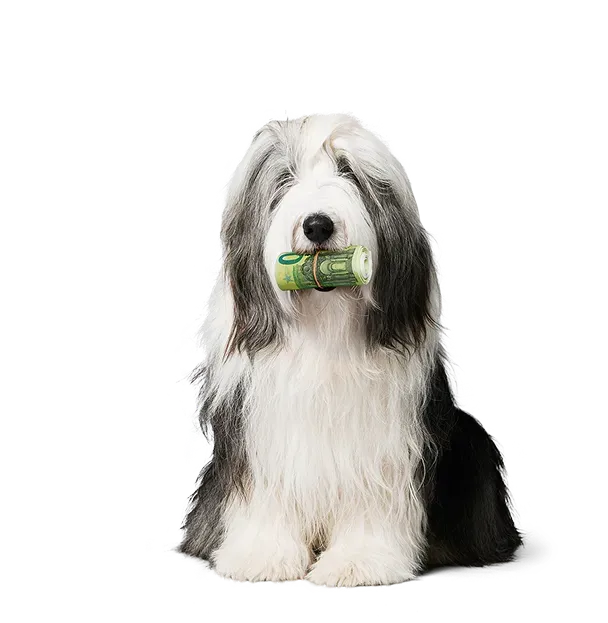 ted-money