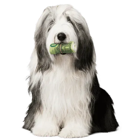 Ted met een rol geld