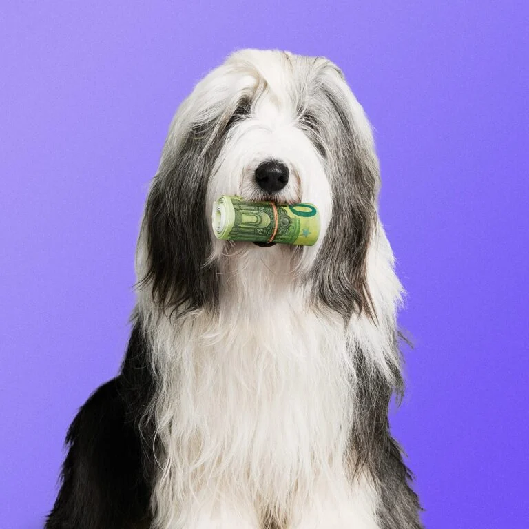 kortlopende-zakelijke-lening-versus-een-doorlopend-zakelijk-krediet